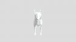 Dog And Bones
