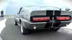 ELEANOR