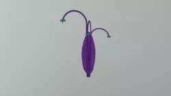 Ender Reed Plant