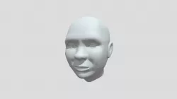 Female Face & Head Model