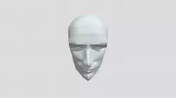 Head Model