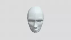 Head Model