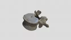 Human - lumbar vertebra ex.