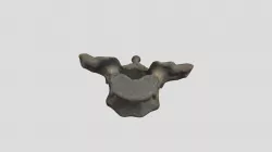 Human - thoracic 1