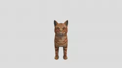kitty