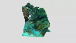Kokomo_4