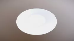 Lunch Plate (School Project)