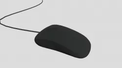 Mouse