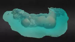 One Tree Island-Gutter Bommie (tag3D)