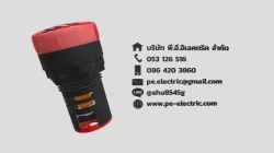 Pilot Lamp (Red)