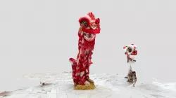 POLYCAM / Red Lion Dance