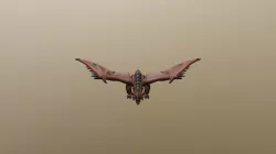 Rathalos