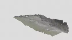Restoration Revegetation Reference