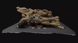 RK17 F0001 Concretion - Stage 1