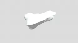 Sealed Pouch