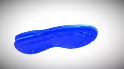Shoe Sole