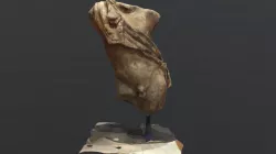 Torso with Panther Skin