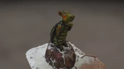 Turtle statue
