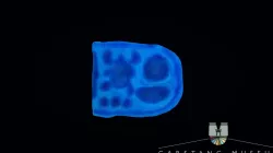 Tutankhamun Cartouche on Ring Bezel