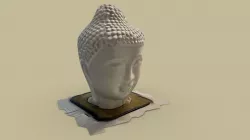 White Head Scan