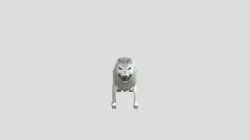 Winter Lowpoly Wolf