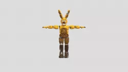 Withered Spring Bonnie