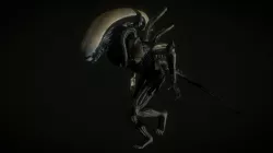 Xenomorph