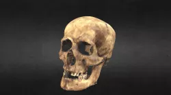 A model of a skull