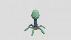 Bacterium Model