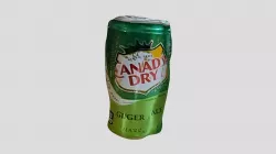 Canada Dry can