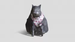 Cat Is Cat