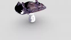 DONEHEAD