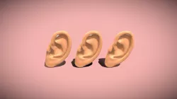 Ear Human Organ 3D Model