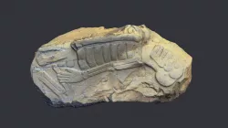 El Baúl, Monumento 78, Cotzumalguapa, Guatemala