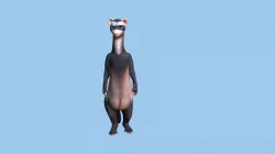 Ferret