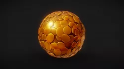 Gold Coin Material