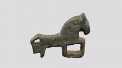 Horse Fibula / Fíbula de caballo