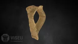 JC-79-207 Fragmento de asa de bilha