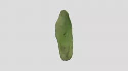 Knife (nephrite)