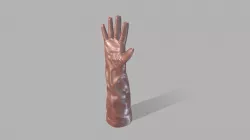 Long glove
