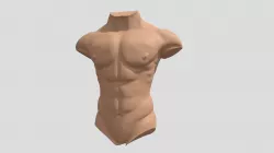 Male Torso Sculpt