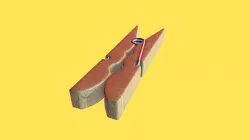 Pin