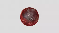 Realistic_Eye