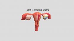 xxnxxcom memek wanita model Page 1 STLFinder
