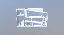 section