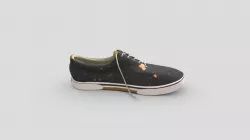 Sperry's Shoe