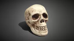 Styalized Human Skull