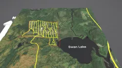 Swan Lake Full Model