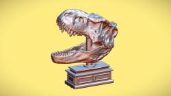 T-Rex Skull - 3D SCAN