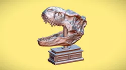 T-Rex Skull - 3D SCAN